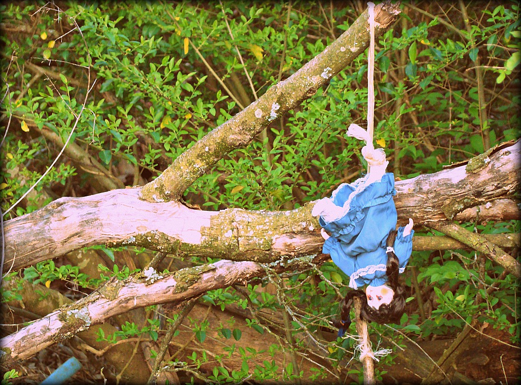 Doll hanging from branches.